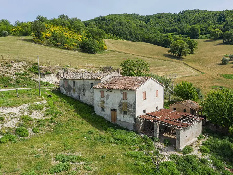 Immagine 11 di Rustico / casale in vendita  in Via San Venanzio a Fossombrone