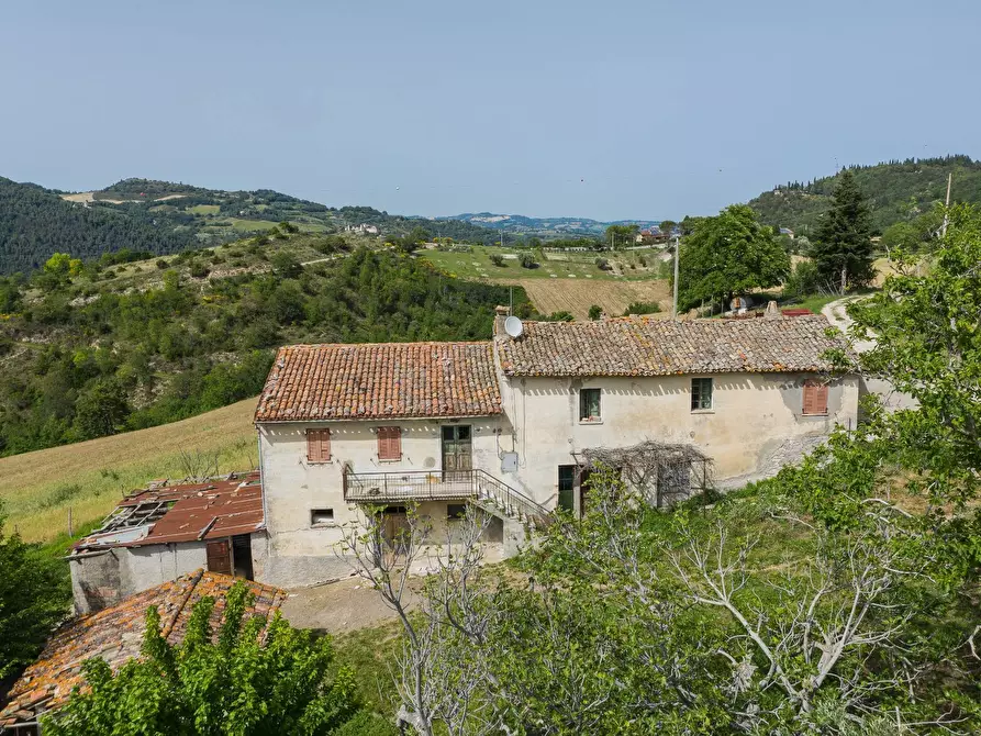 Immagine 3 di Rustico / casale in vendita  in Via San Venanzio a Fossombrone