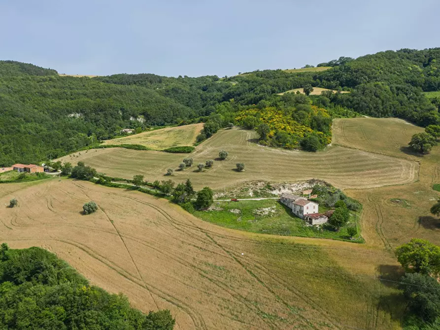 Immagine 12 di Rustico / casale in vendita  in Via San Venanzio a Fossombrone