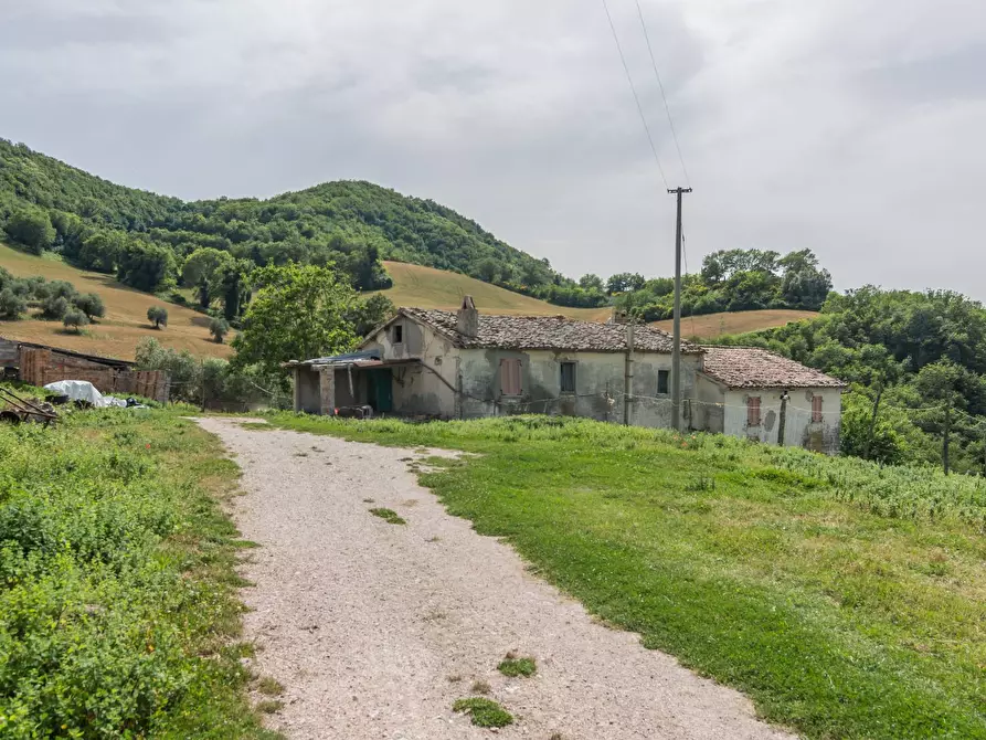 Immagine 15 di Rustico / casale in vendita  in Via San Venanzio a Fossombrone