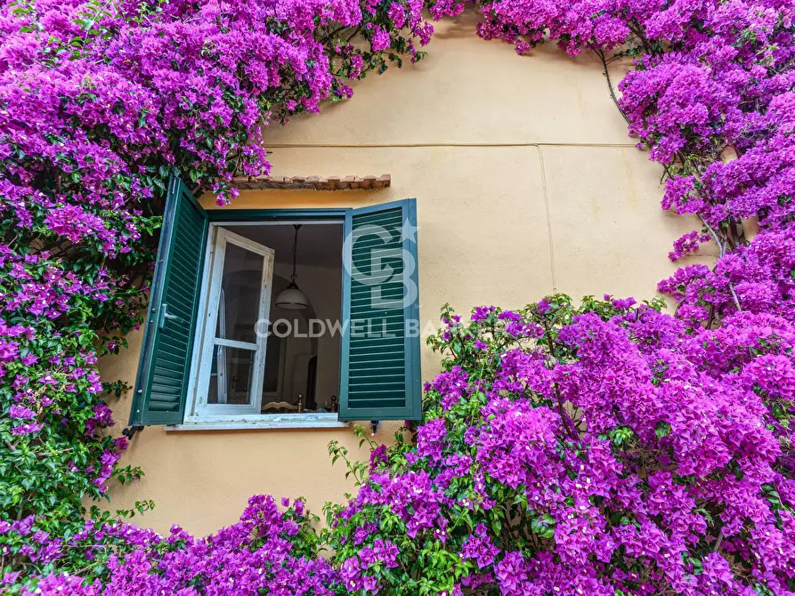 Immagine 19 di Appartamento in vendita  in Via Aia Grande a Campo Nell'elba