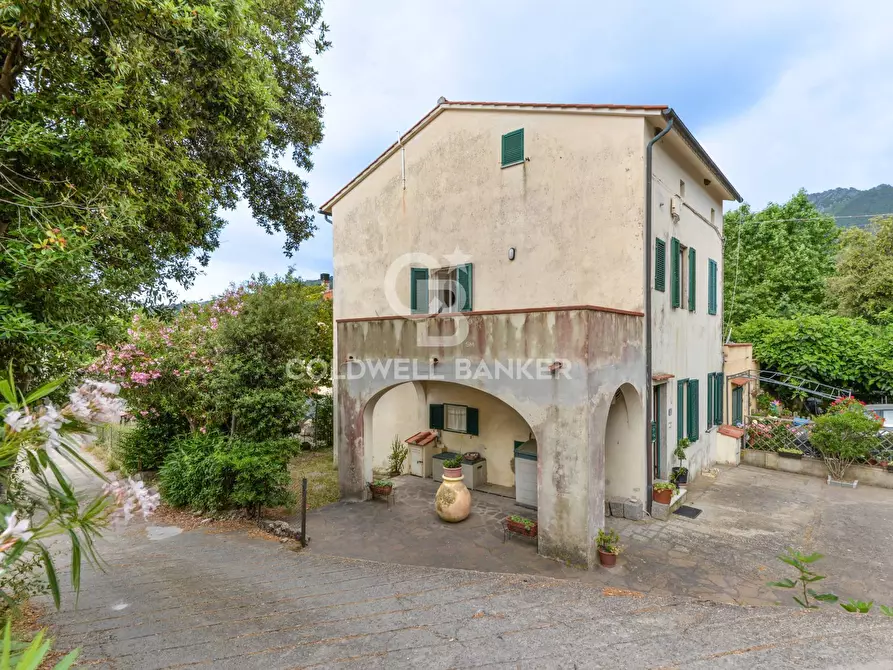 Immagine 1 di Villa in vendita  in Via degli Alberi a Campo Nell'elba