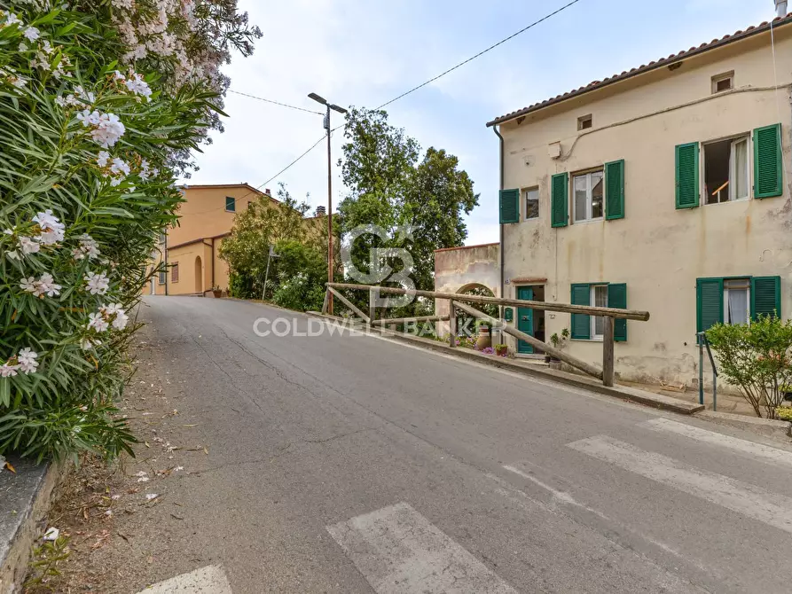Immagine 4 di Villa in vendita  in Via degli Alberi a Campo Nell'elba