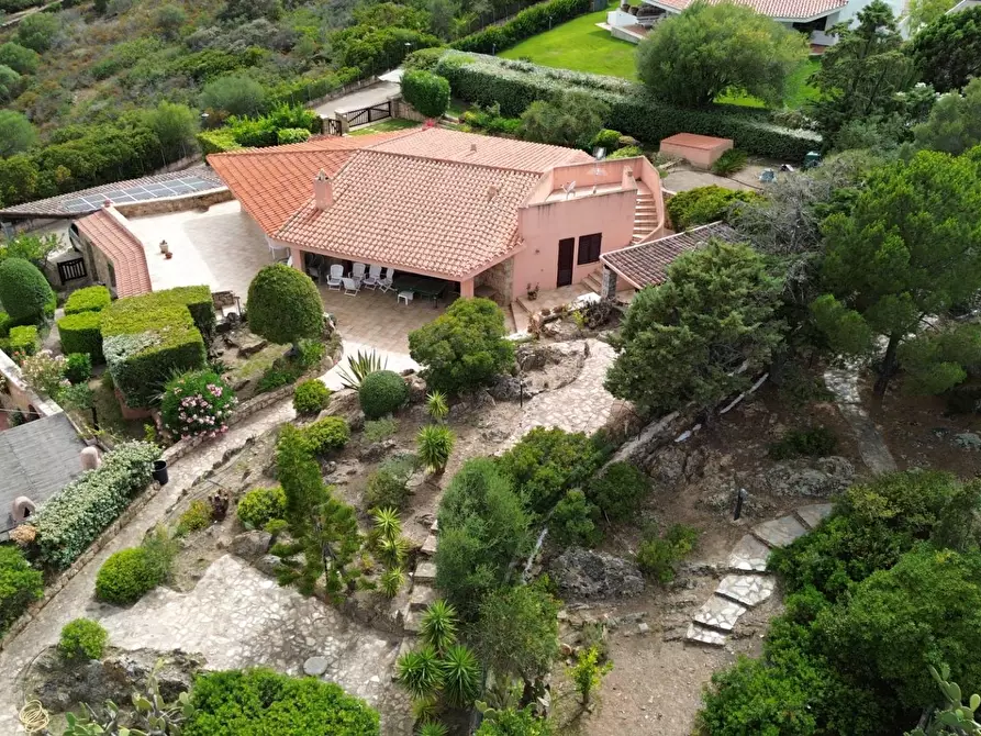 Immagine 5 di Villa in vendita  in Golfo Aranci a Golfo Aranci
