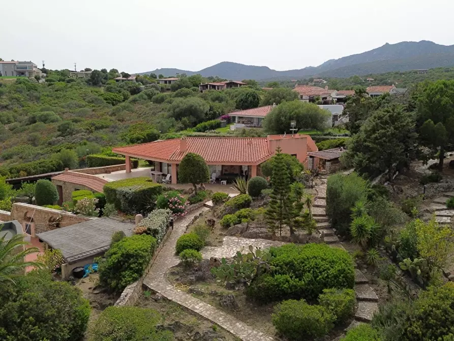Immagine 3 di Villa in vendita  in Golfo Aranci a Golfo Aranci