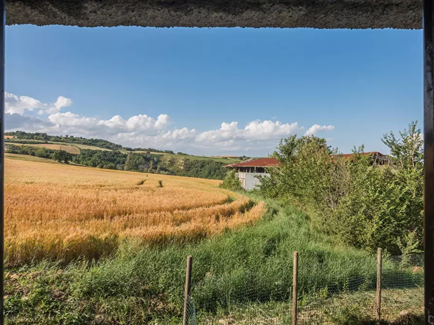Immagine 25 di Rustico / casale in vendita  in Via Casenuove a Tavoleto