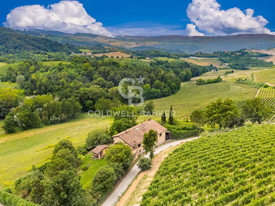 Immagine 3 di Villa in vendita  in Cascina San Grato a Sala Monferrato