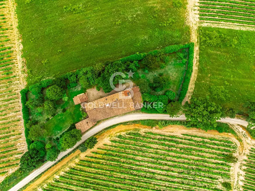 Immagine 5 di Villa in vendita  in Cascina San Grato a Sala Monferrato