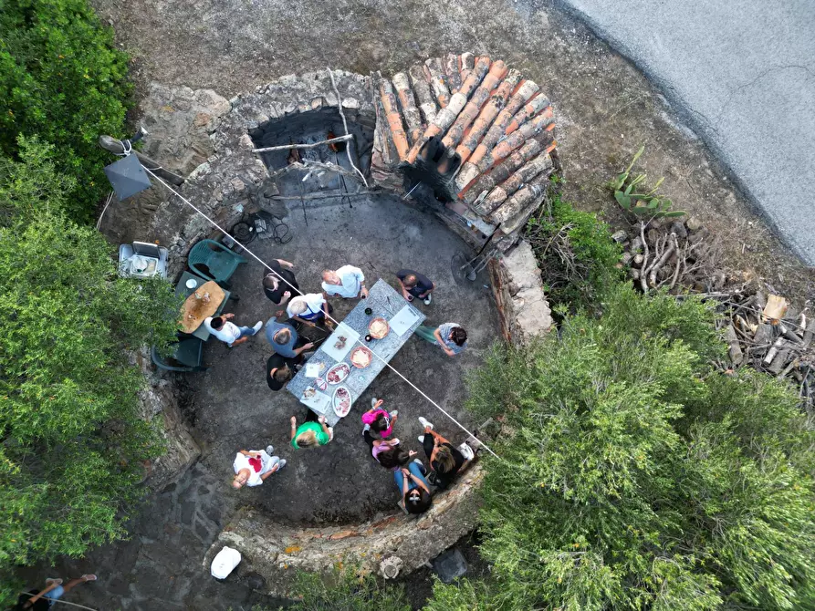 Immagine 4 di Agriturismo in vendita  in località Predas Rujas a Torpè