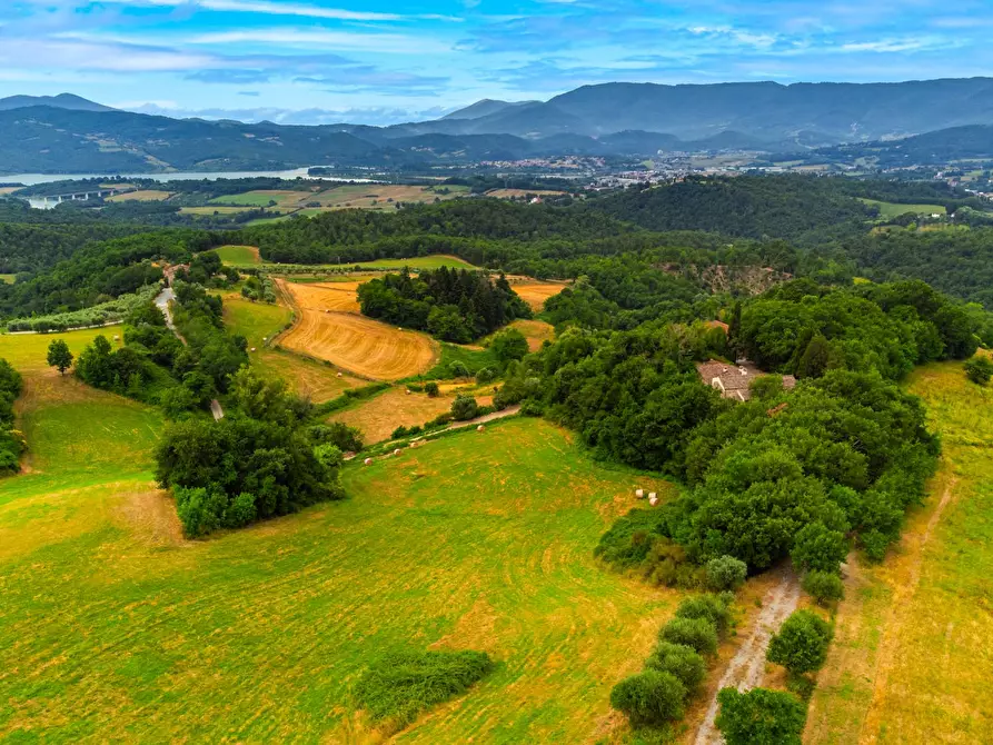 Immagine 21 di Villa in vendita  in Via Nazionale a Barberino Di Mugello