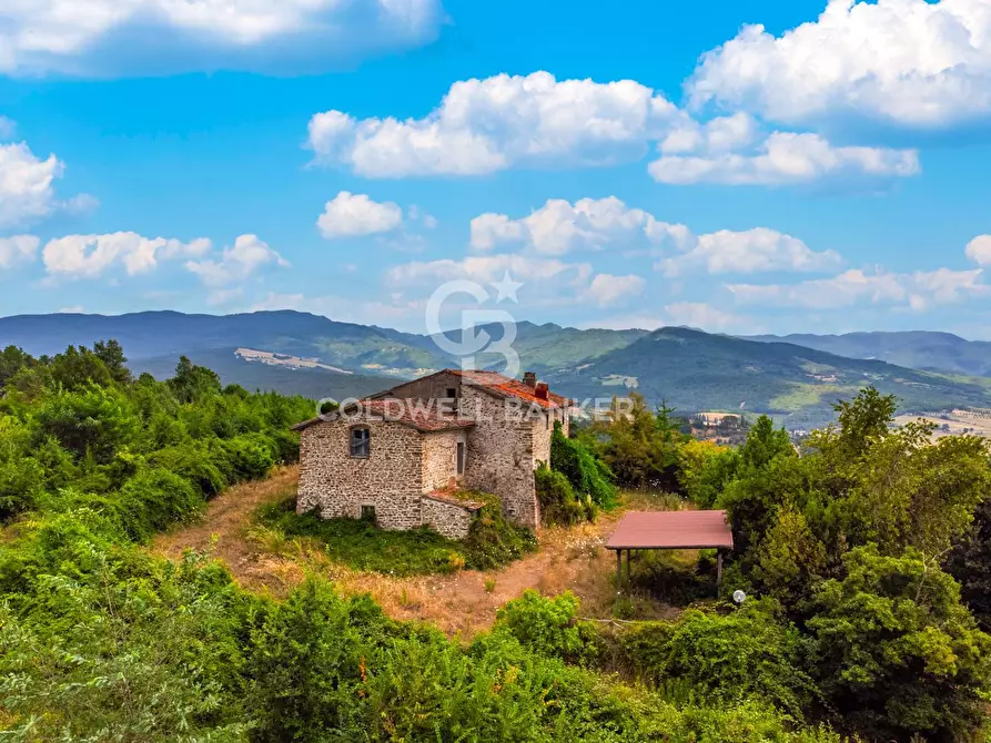 Immagine 2 di Villa in vendita  in Via Nazionale a Barberino Di Mugello