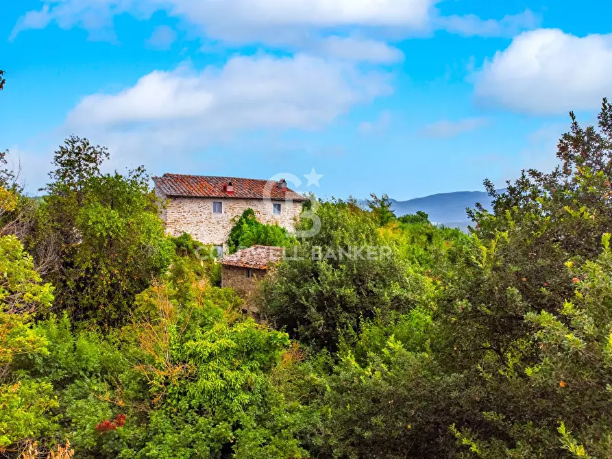 Immagine 4 di Villa in vendita  in Via Nazionale a Barberino Di Mugello