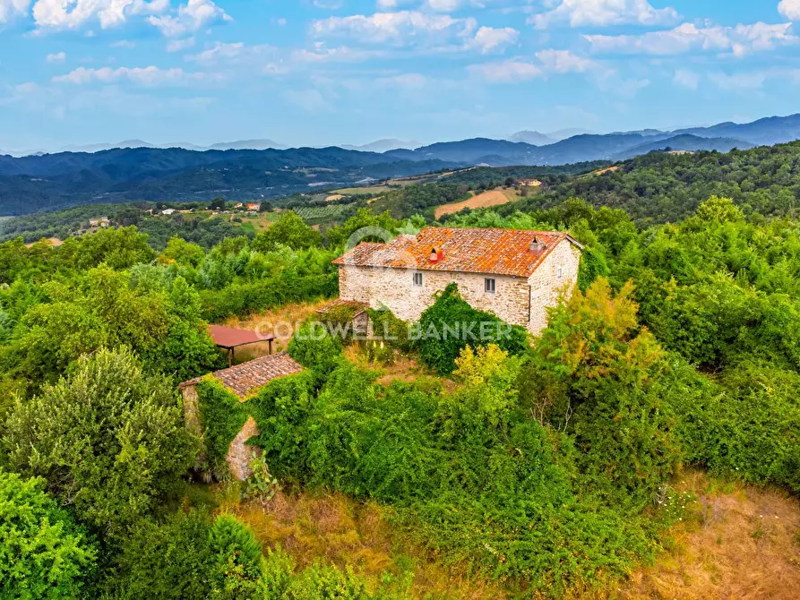 Immagine 5 di Villa in vendita  in Via Nazionale a Barberino Di Mugello