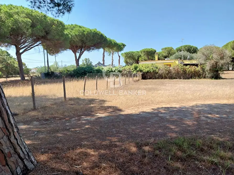 Immagine 1 di Terreno agricolo in vendita  in Viale Etruria a Tarquinia