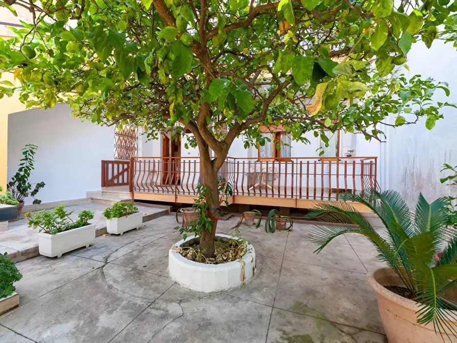 Immagine 5 di Appartamento in vendita  in Via Spinale a Casal Velino