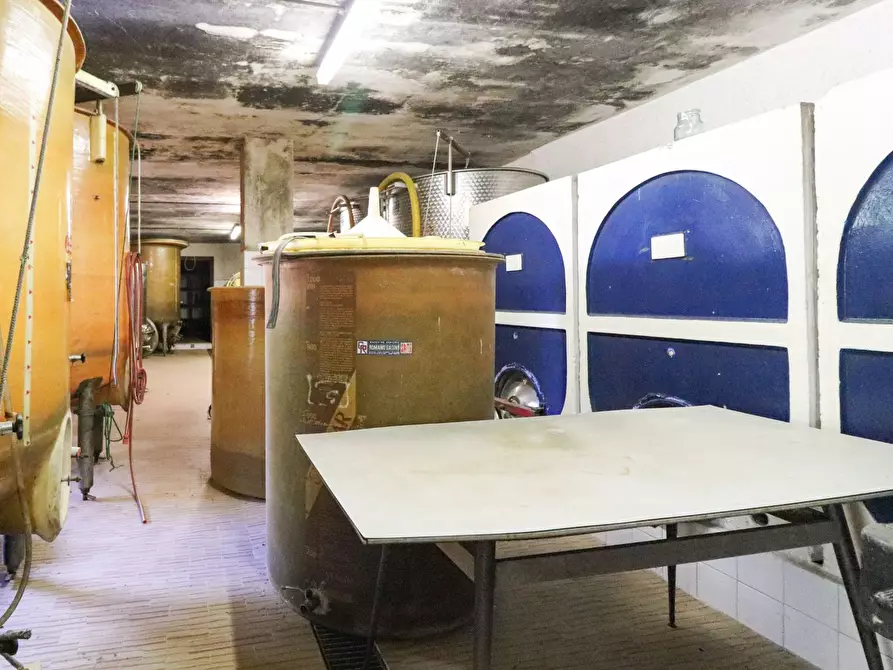 Immagine 11 di Terreno agricolo in vendita  in Via San Rocco a Montabone