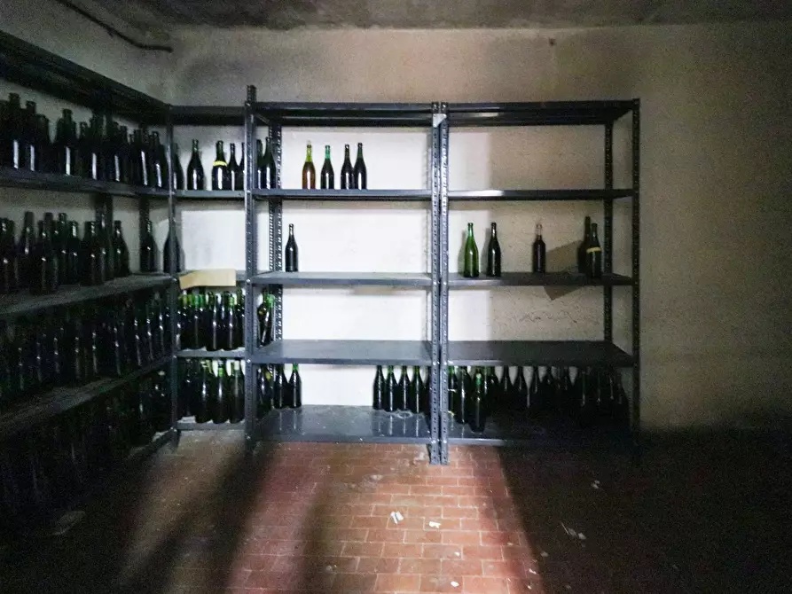 Immagine 12 di Terreno agricolo in vendita  in Via San Rocco a Montabone