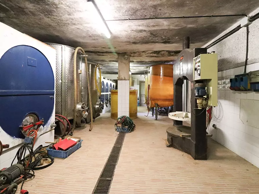 Immagine 13 di Terreno agricolo in vendita  in Via San Rocco a Montabone