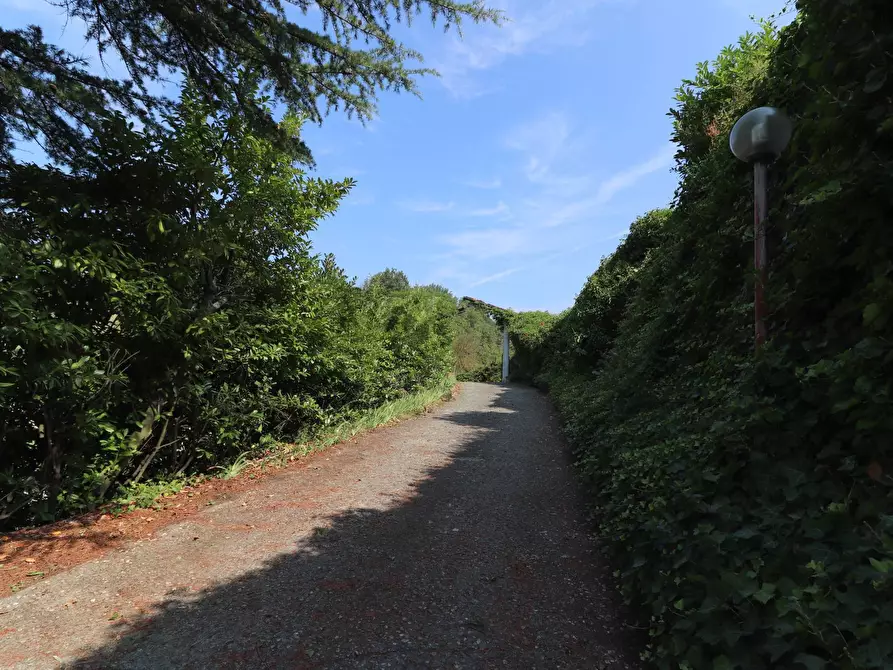 Immagine 7 di Terreno agricolo in vendita  in Via San Rocco a Montabone