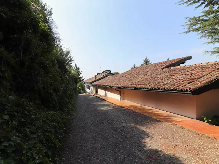 Immagine 8 di Terreno agricolo in vendita  in Via San Rocco a Montabone