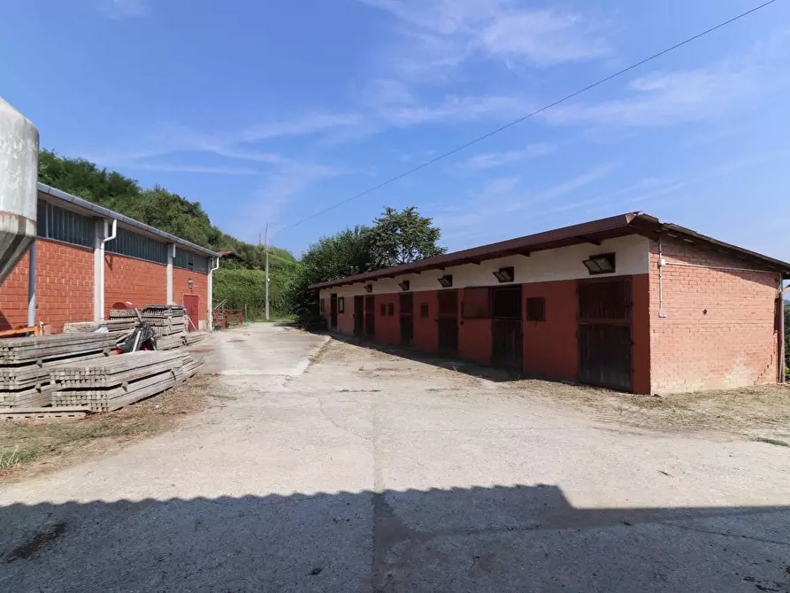 Immagine 20 di Terreno agricolo in vendita  in Via San Rocco a Montabone