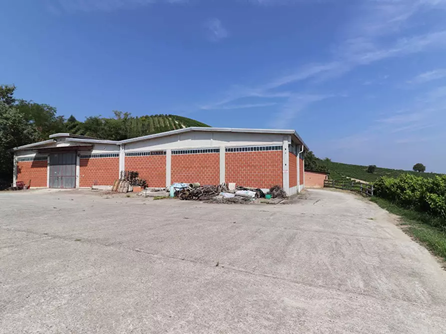 Immagine 21 di Terreno agricolo in vendita  in Via San Rocco a Montabone