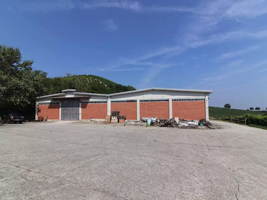 Immagine 22 di Terreno agricolo in vendita  in Via San Rocco a Montabone