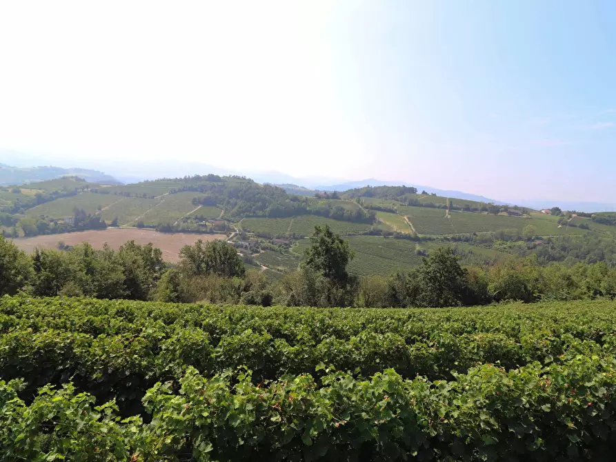 Immagine 1 di Terreno agricolo in vendita  in Via San Rocco a Montabone