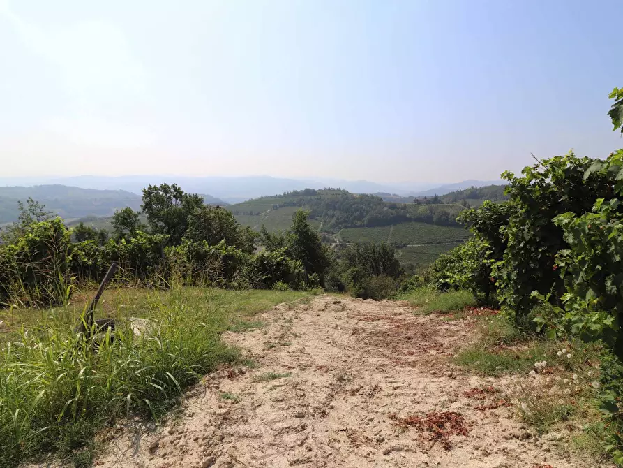 Immagine 3 di Terreno agricolo in vendita  in Via San Rocco a Montabone