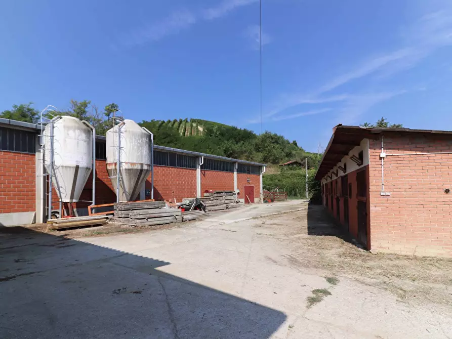 Immagine 23 di Terreno agricolo in vendita  in Via San Rocco a Montabone