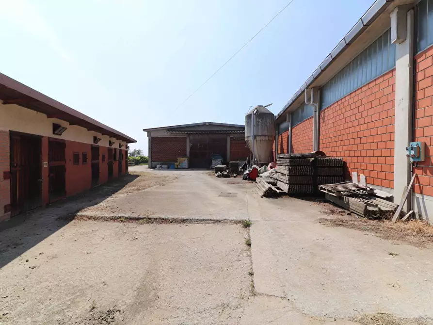 Immagine 24 di Terreno agricolo in vendita  in Via San Rocco a Montabone