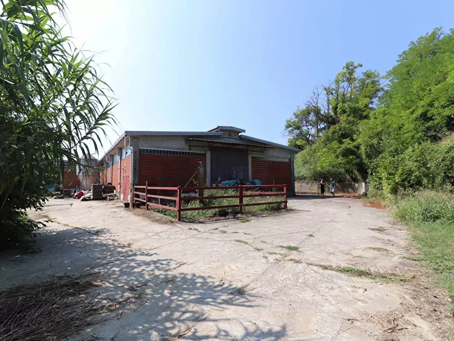 Immagine 25 di Terreno agricolo in vendita  in Via San Rocco a Montabone