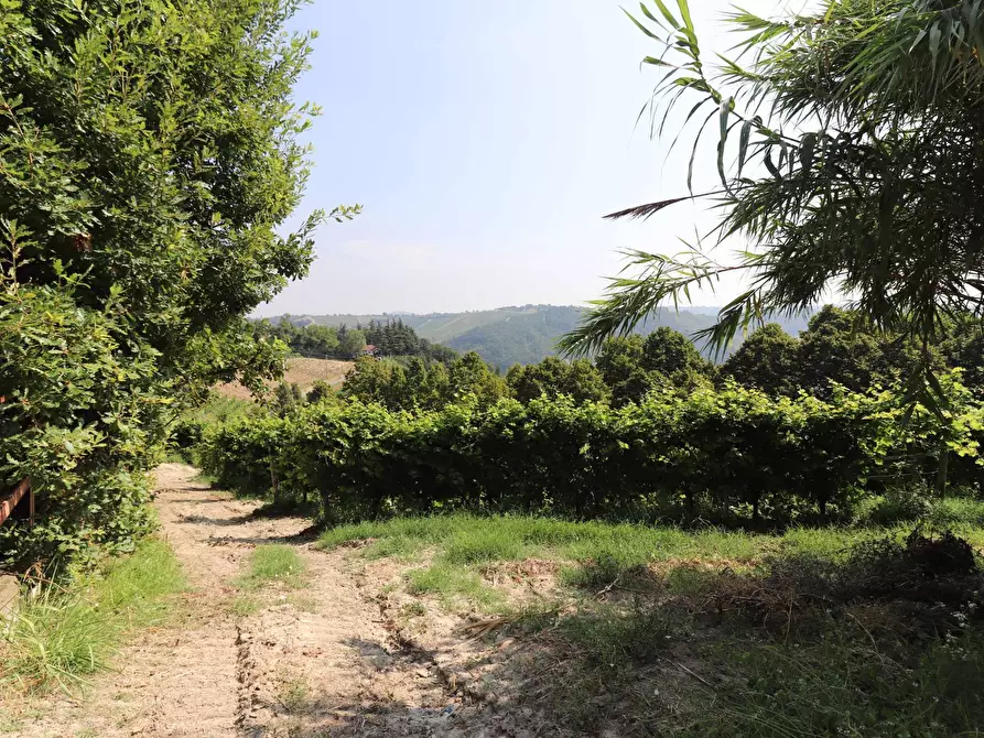 Immagine 16 di Terreno agricolo in vendita  in Via San Rocco a Montabone