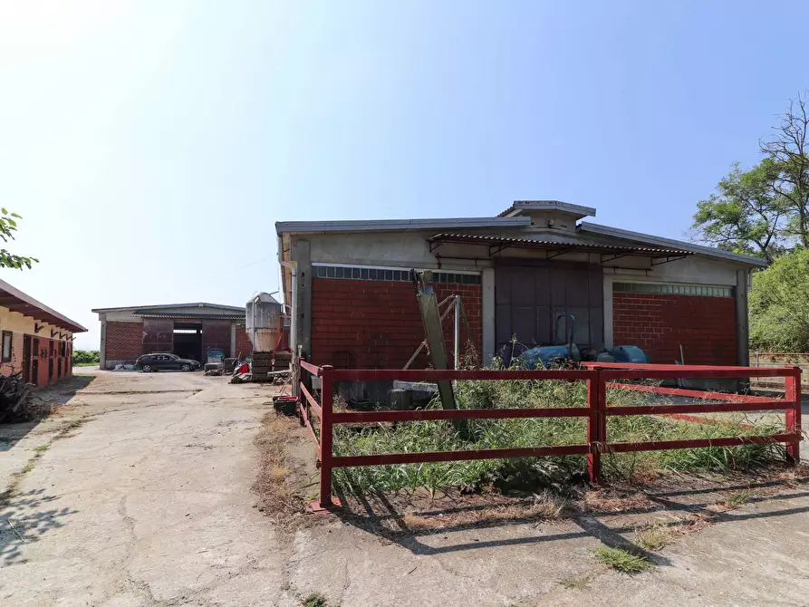 Immagine 26 di Terreno agricolo in vendita  in Via San Rocco a Montabone