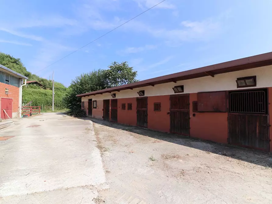 Immagine 27 di Terreno agricolo in vendita  in Via San Rocco a Montabone