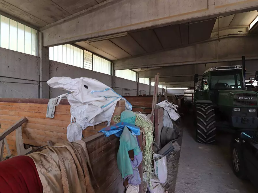 Immagine 29 di Terreno agricolo in vendita  in Via San Rocco a Montabone