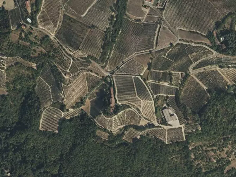 Immagine 5 di Terreno agricolo in vendita  in Via San Rocco a Montabone