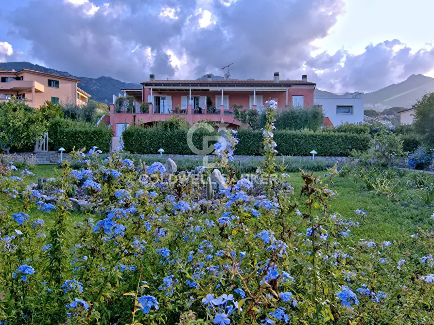 Immagine 29 di Appartamento in vendita  in Loc. La Vecchia a Marciana Marina