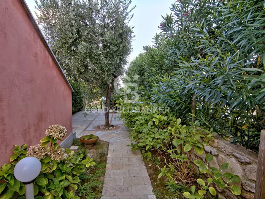 Immagine 25 di Appartamento in vendita  in Loc. La Vecchia a Marciana Marina