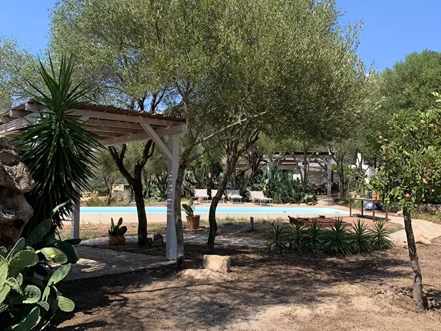 Immagine 20 di Villa in vendita  in San Pantaleo Costa Smeralda a Olbia