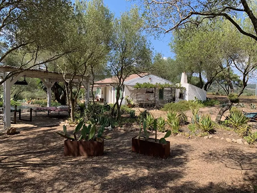 Immagine 1 di Villa in vendita  in San Pantaleo Costa Smeralda a Olbia