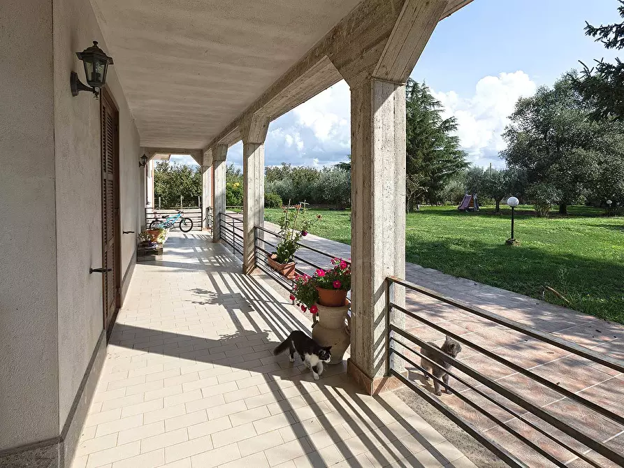 Immagine 6 di Villa in vendita  in Strada Pian del Trullo a Fabrica Di Roma