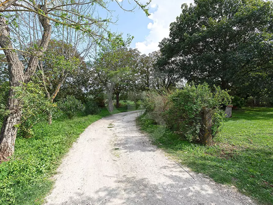 Immagine 22 di Villa in vendita  in Strada Piscin di Polvere a Viterbo