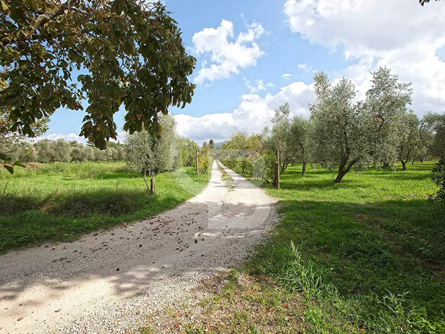 Immagine 24 di Villa in vendita  in Strada Piscin di Polvere a Viterbo