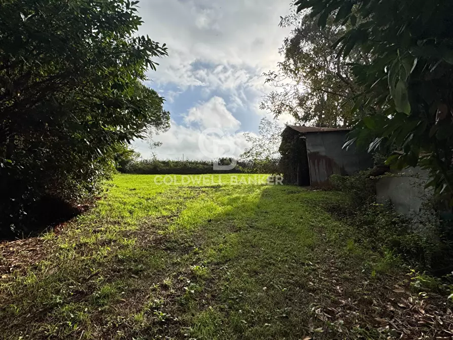 Immagine 27 di Casa indipendente in vendita  in via Santa Lucia a Bracciano