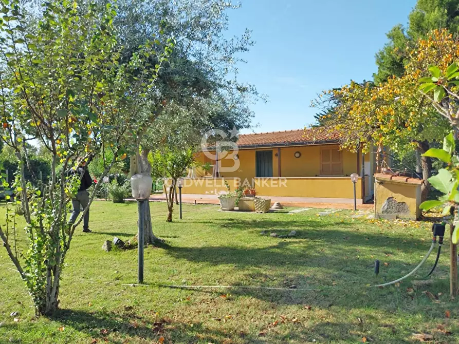 Immagine 1 di Villa in vendita  in Località San Giorgio - Via delle Rose a Tarquinia