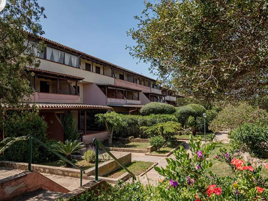 Immagine 20 di Appartamento in vendita  in Porto Rotondo Sa Jaga Brujada a Olbia