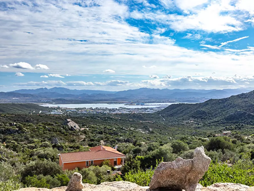Immagine 26 di Villa in vendita  a Olbia