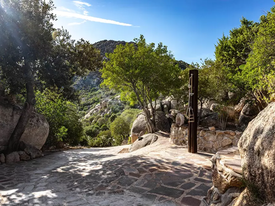 Immagine 29 di Villa in vendita  a Olbia