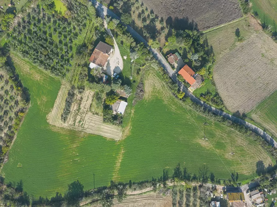 Immagine 3 di Rustico / casale in vendita  in Via Cà Bernardo a Montegridolfo